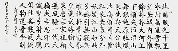 李智泉作品《沁园春 雪》